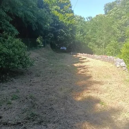 別荘 Casa Singola Nel Bosco Nievole